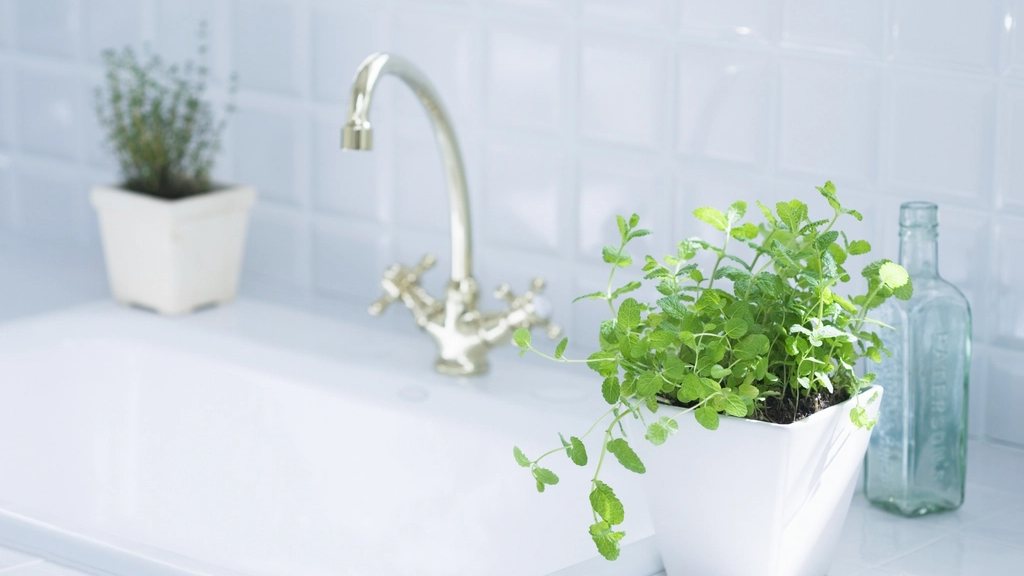 Weißes Spülbecken mit Armatur, daneben Kräutertöpfe und eine Glasflasche