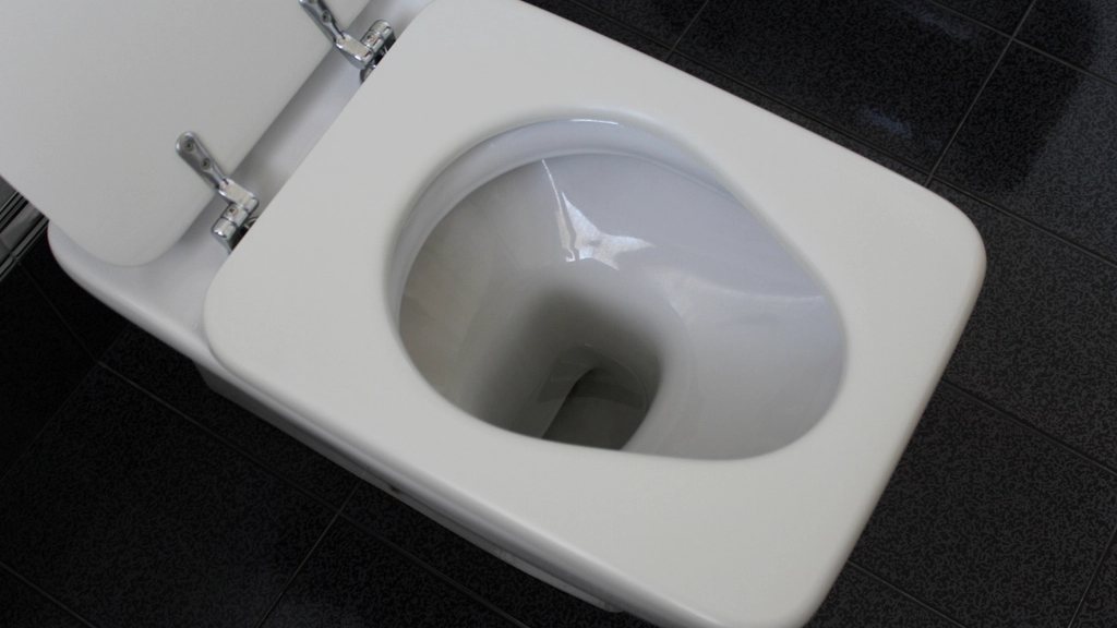 Weiße Toilette mit hochgeklapptem Deckel vor dunklen Fliesen